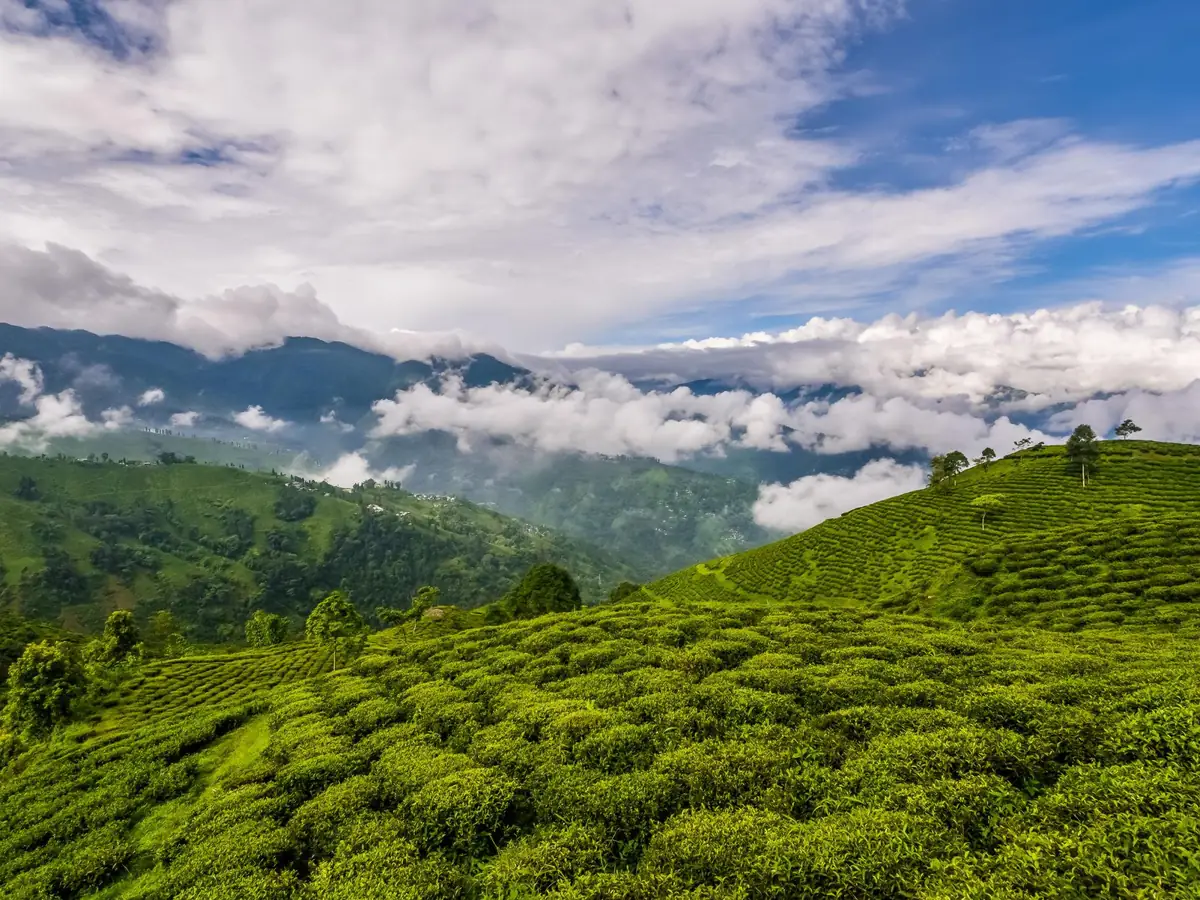 Darjeeling